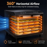 Ranein 6-Tray Food Dehydrator, Precise Temp & 360° Airflow