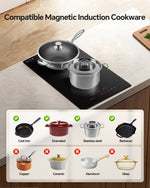 Induction Cooktop 12 inch/30 inch 120V/240V